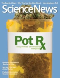 No, Pot Researchers Aren’t Smoking Anything Image